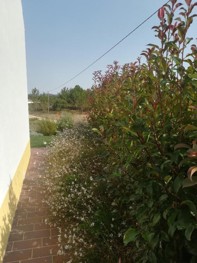 ألخيزور Vila Lira المظهر الخارجي الصورة