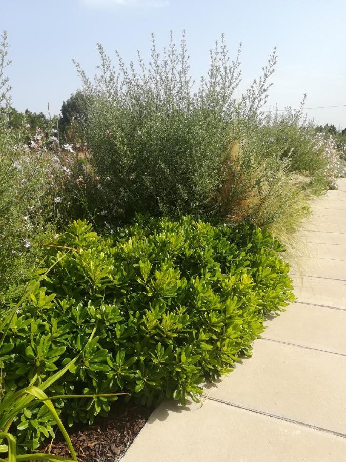 ألخيزور Vila Lira المظهر الخارجي الصورة